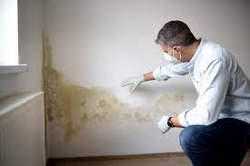 Best Residential Mold Inspection & Testing  in Tucker, GA